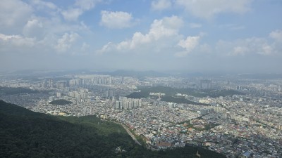 2030세대의 경매시장